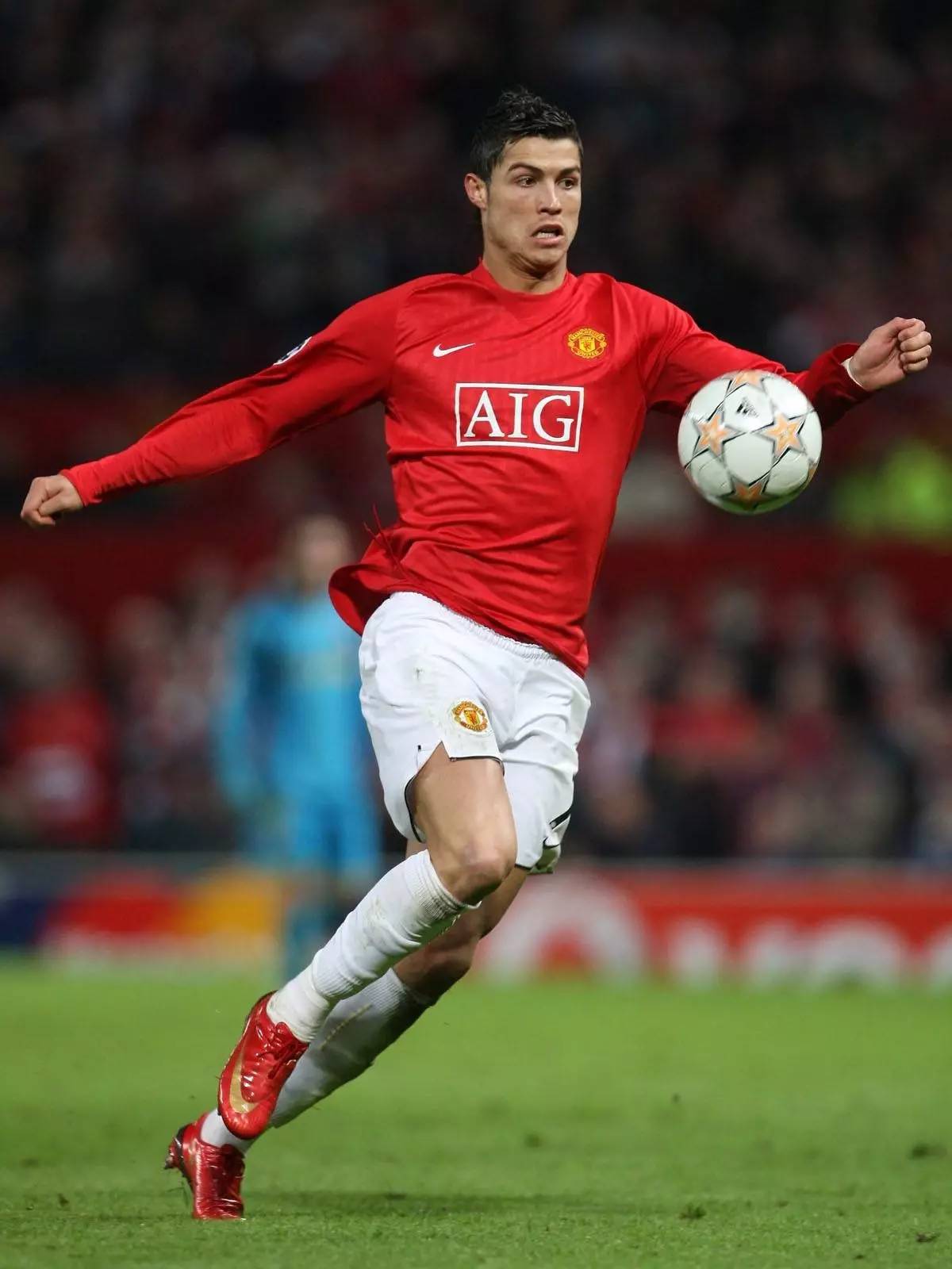 队友质量 队友质量